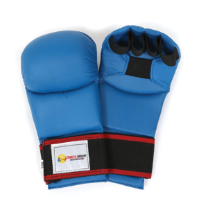 Punching Mitts