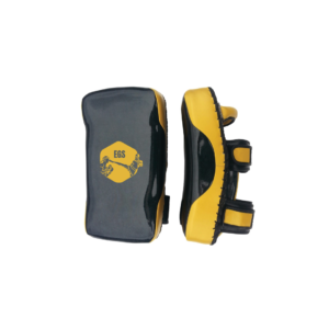 Boxing Focus Pads